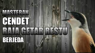 MASTERAN CENDET RAJA GETAR RESTU BERJEDA!!