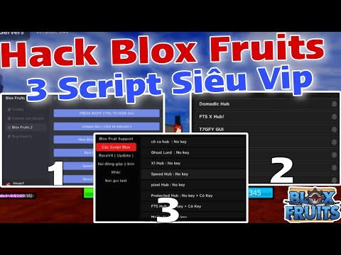 Cách Hack Blox Fruits 19🔥Script Blox Fruits Tổng Hợp 3 Siêu Phẩm Script Vip Nhất Hiện Tại