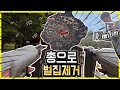 총으로 벌집제거 (쌍건) Remove honeycomb with gun