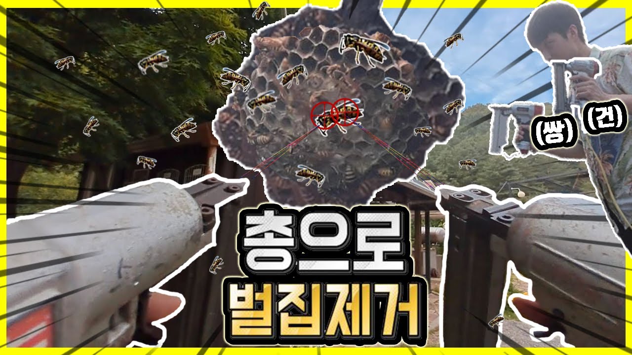 총으로 벌집제거 (쌍건) Remove honeycomb with gun