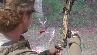 SHOT FIRED in OHIO! Archery Season 2025