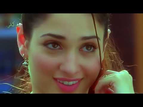 كداب والي بيقرب من حبايبه بيعيش في عزاب وعشان القمر دي بيقلبها خراب كوكلي مختار كوكلي 