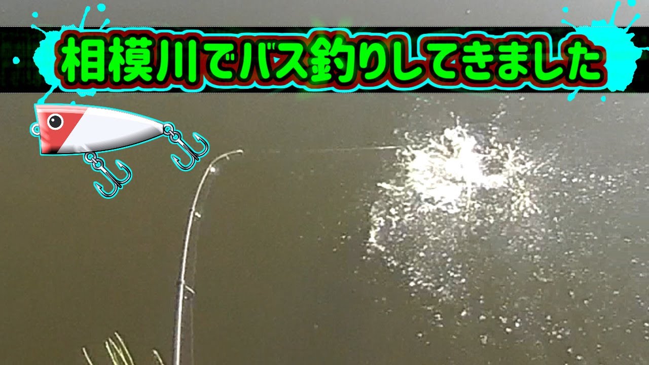 相模川でバス釣りしてきました 魚釣り系you Tuberまとめサイト Fishing