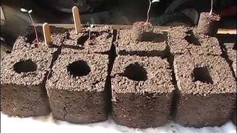 Homemade Soil Blocker Maker (free - DIY)