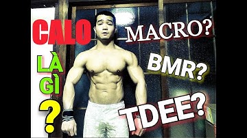 CALORIES LÀ GÌ? HƯỚNG DẪN CÁCH TÍNH BMR - TDEE - MACRO ĐƠN GIẢN HIỆU QUẢ CHO NGƯỜI TẬP GYM