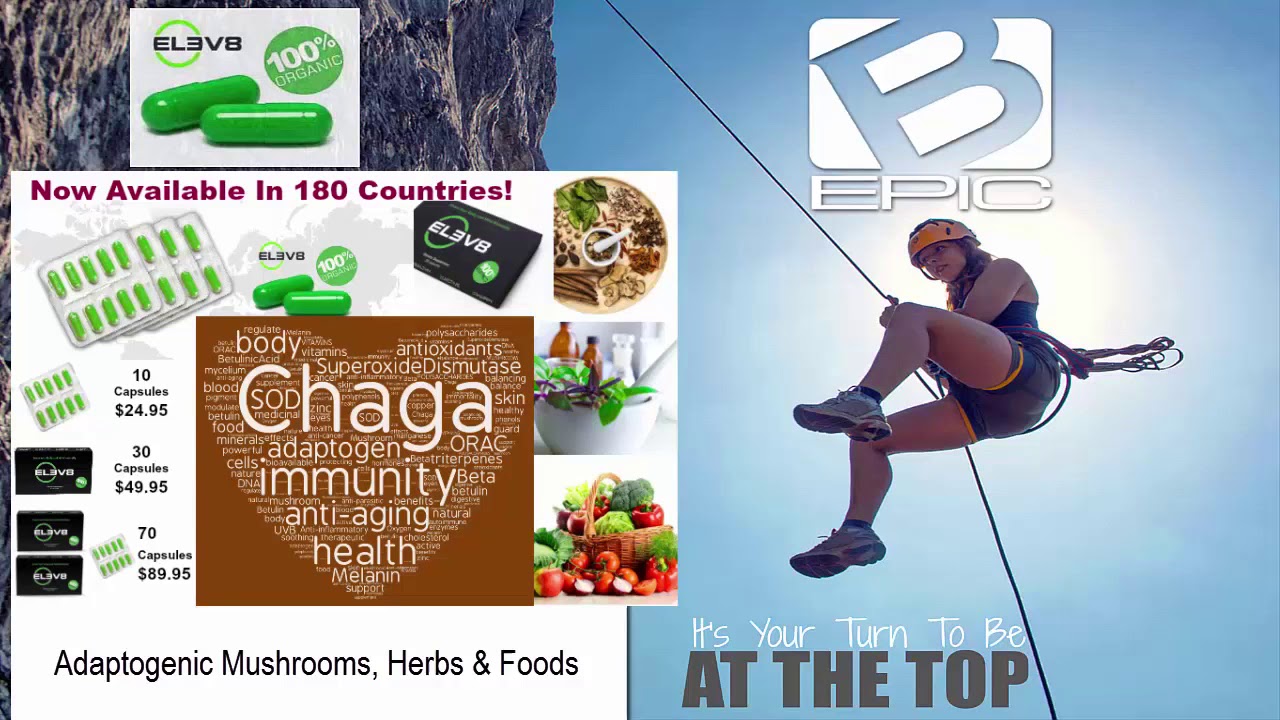 BEPIC Product and  Opportunity Overview