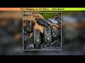 Hirisi Wireless Carp Fishing Alarm Set Waterproof Bite Alarm Indicator Carp Fishing Tackle 1+2 Set