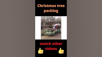 Christmas tree packing