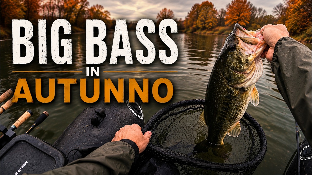 BIG BASS in Autunno – Tra Nebbia e Pioggia 🍂🎣