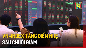 VN-Index tăng điểm nhẹ sau chuỗi giảm | Tin tức