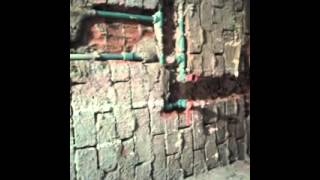 حمام استاذ اشرف عبد العزيز