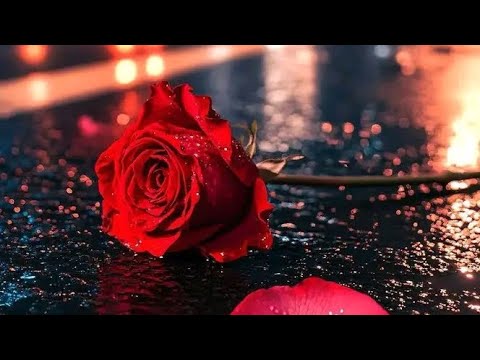 Phakathi Kwabantu (feat. Majalamba Omhle)