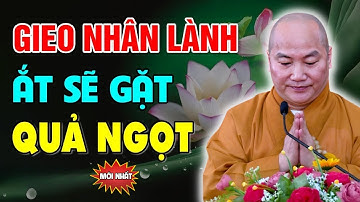 Thích Phước Tiến Thuyết Pháp | Tu Không Có Tuệ Là Gieo Nhân Mà Mãi Không Gặt Được Phước (CỰC HAY)
