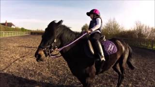 Hannah Cantering On The Lunge Rein And Jumping - 20Th April 2016
