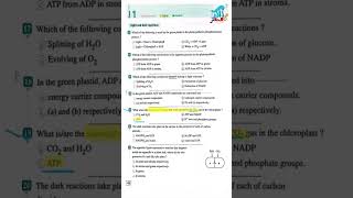 ما هي الطاقة اللازمة لتثبيت غاز co2 في الـ chloroplast | Biology | Sec2