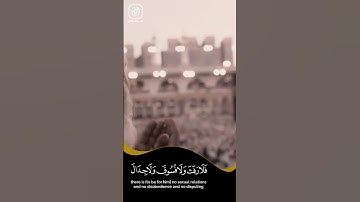 ايات الحج اجمل تلاوة تسمعها💚☘️🤍#حالات_واتس_اب  #القران_الكريم  #عرفة