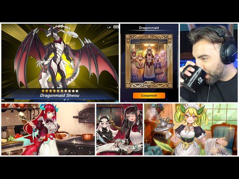 Dragonmaid Deck - Can These Maids Serve In Master Rank? [MD:S47]