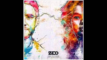 Zedd & Selena Gomez - I Want You To Know (Milo & Otis Remix)