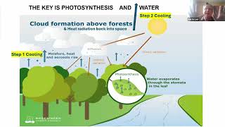 GREEN UP TO COOL DOWN - a new approach to the climate crisis