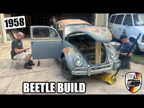 The 2026 Harvest Beetle Restoration Begins: Day 1