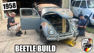 The 2026 Harvest Beetle Restoration Begins: Day 1