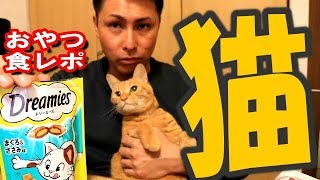 猫よ、そのおやつ美味しいなら１粒くれ。猫ちゃんのおねだりが止まらないおやつ【ドリーミーズ】（食レポ？飯テロ注意？）