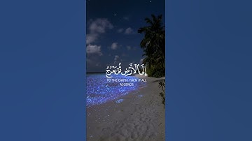 سُورَةُ السَّجْدَةِ/القارئ:-إسلام صبحي