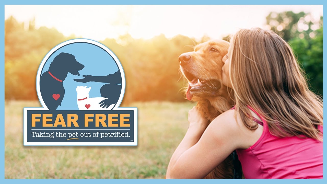 Fear Free: How Pet Owners Can Enjoy Veterinary Visits with ...