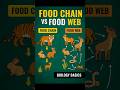 Food Chain vs Food Web 🌐 | Energy Flow in Nature Explained Simply | Biology Basics