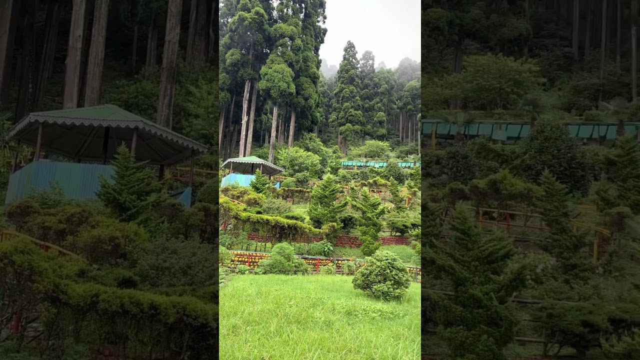 Serene Beauty of Lamahata EcoPark | Darjeeling’s Hidden Paradise. 