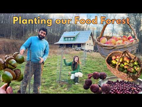 Planting Our Food Forest!