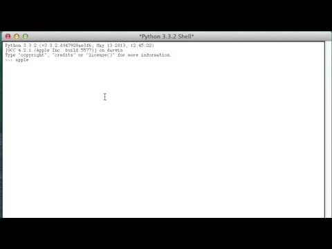 Python Lesson 1: Variables and Data Types