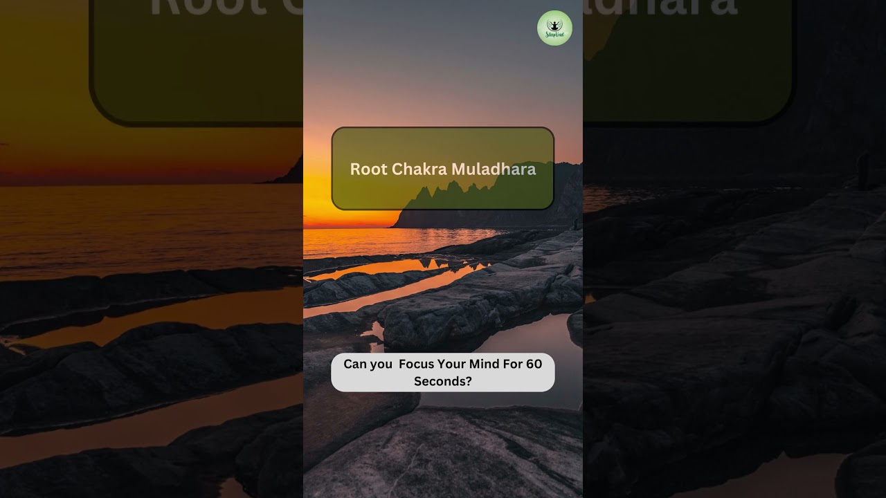 Root Chakra Muladhara Meditation Music 🧘🧘🏼🧘🏻‍♂️✨🧎🏻‍♀️🧎‍♀️🧘🏽‍♀️🙏🏻🧘‍♀️ 