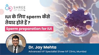 IUI के लिए sperm कैसे तैयार होते हैं? | Sperm preparation for IUI | Dr Jay Mehta | Shree IVF clinic