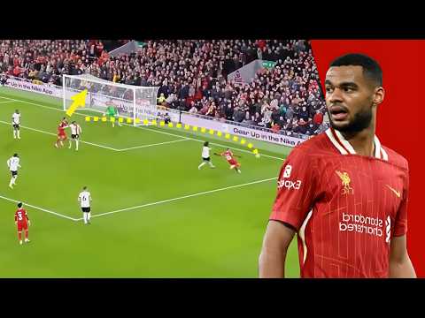 Cody Gakpo – The Dutch Sensation Taking Over Anfield!