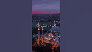 واتس اب قران كريم القارئ احمد خضر (سوره الجاثية)