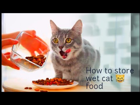 Video: Boluntaryong Pag-alaala Ng Napiling Maraming Pag-isip Ng Pagkain Ng Wet Cat Dahil Sa Potensyal Na Kontaminasyon