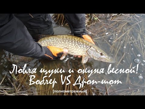 Ловля щуки и окуня весной на спиннинг. Воблер VS Дроп-шот.