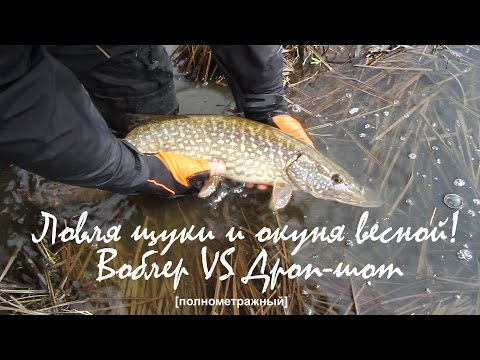 Ловля щуки и окуня весной на спиннинг. Воблер VS Дроп-шот. 