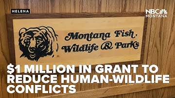 $1 million in grant funding available to reduce human wildlife conflicts