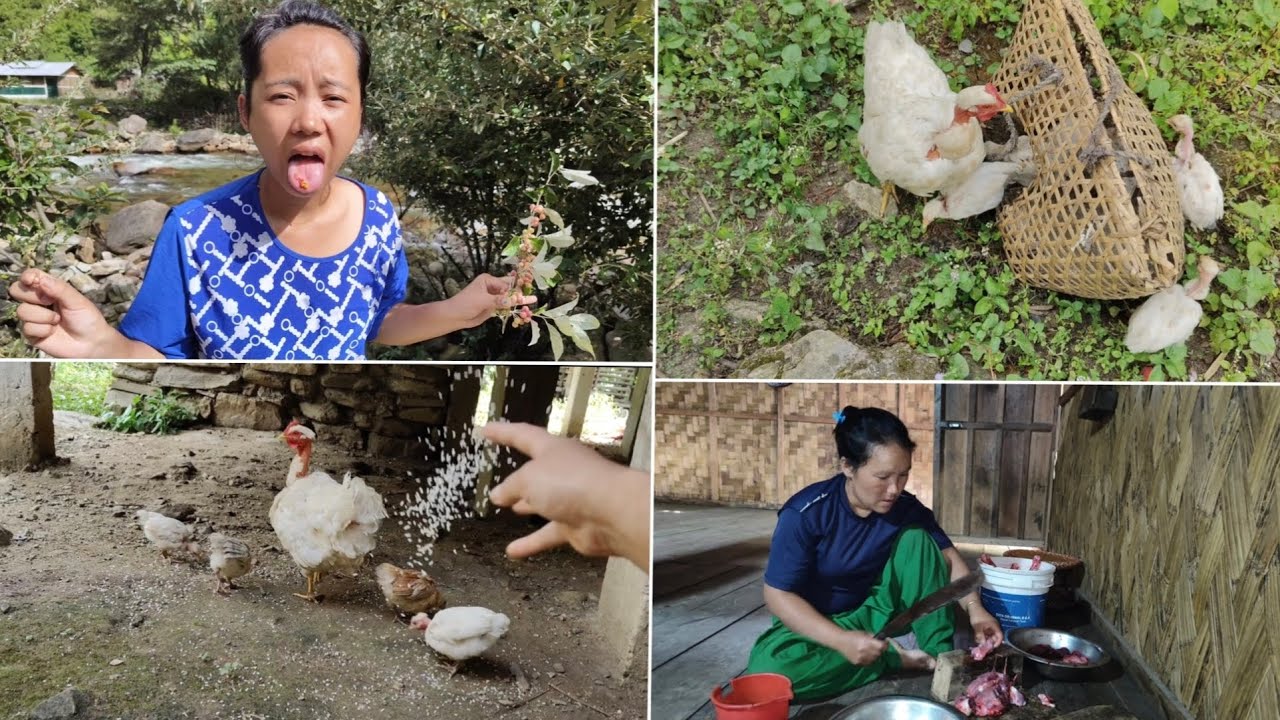 Village life of tribal people 🍃🛖 // 