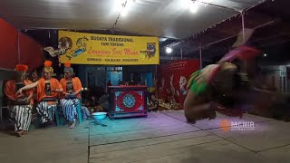 JANGKRIK GENGGONG lanjut GONDOSULI‼️ LANGGENG SARI MUDA live SIMBANG KALIKAJAR