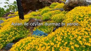 Nedir Dervişlik? - Beyit Kerem Önder