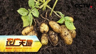 【Agriculture And Nature】20171204 | CCTV Military