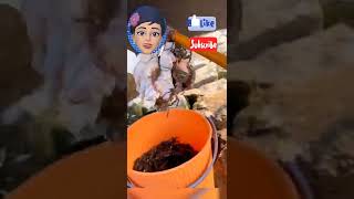 مذهل طريقه رائعه لصيد السمك ??