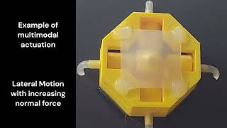 Pneumatically Controlled Wearable Tactile Actuator for Multi-Modal Haptic Feedback