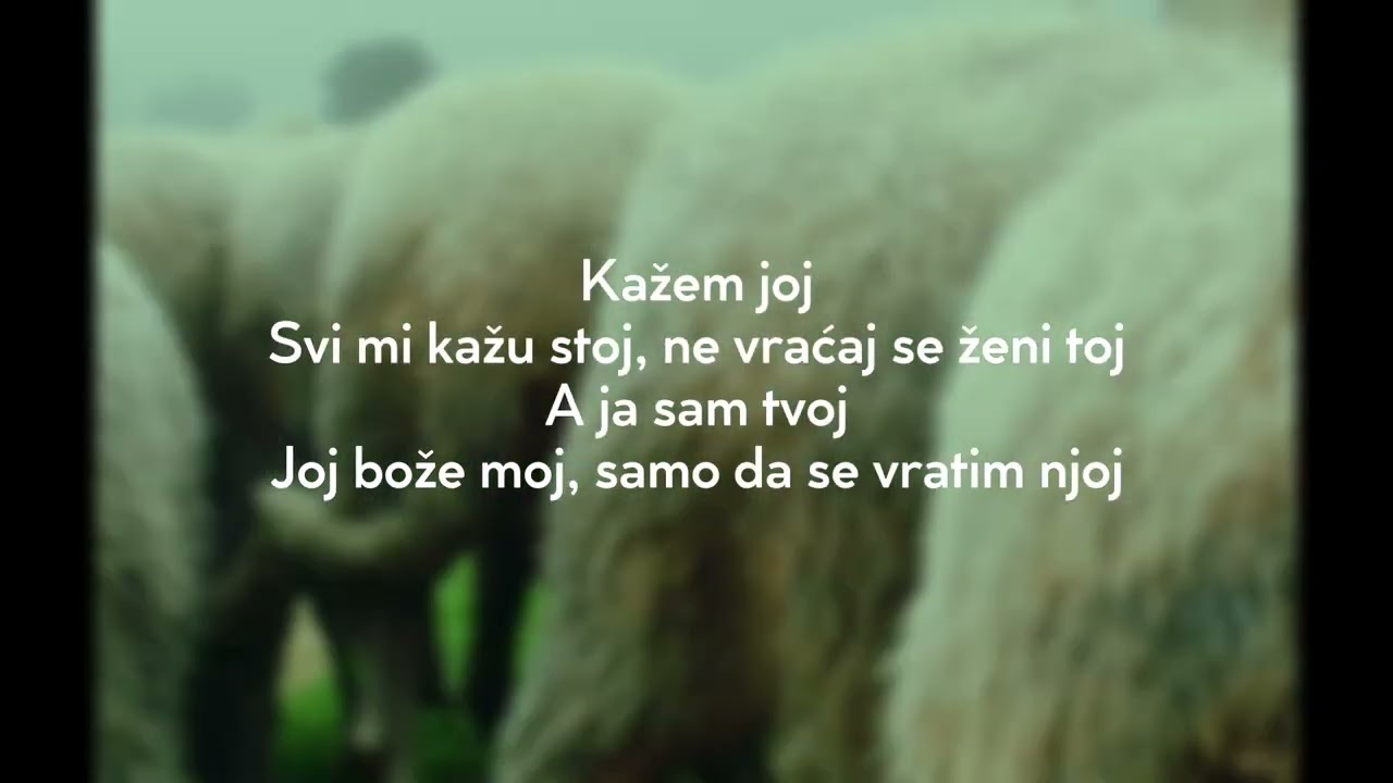 Sanja Vucic x Nucci - Djerdan(Tekst/Lyrics)