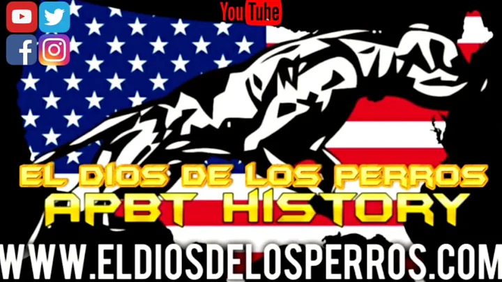 CH Morfino VS CH Tiberio - APBT STORIES - American...