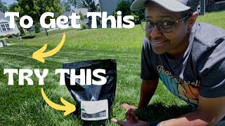 The QUICK Lawn Green Up | A Darker Green Lawn