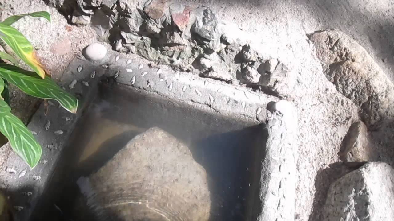 Smile Bungalows # Bottle Beach, Koh Phangan